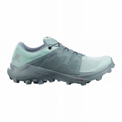 Women's Salomon WILDCROSS GTX Trail Running Shoes Turquoise / Turquoise | US-DGHX158