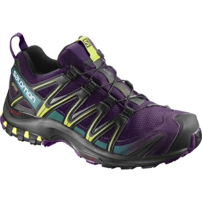 Women's Salomon XA PRO 3D GTX W Trail Running Shoes Purple / Black | US-JEZO985