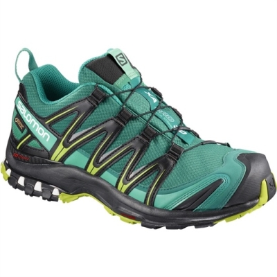 Women's Salomon XA PRO 3D GTX W Trail Running Shoes Green | US-KRDE214