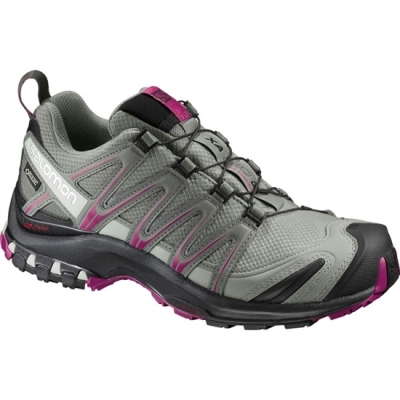 Women's Salomon XA PRO 3D GTX W Trail Running Shoes Silver | US-VAXJ403