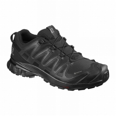 Women's Salomon XA PRO 3D V8 GORE-TEX Hiking Shoes Black | US-HWRS605