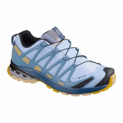 Women's Salomon XA PRO 3D V8 GORE-TEX Hiking Shoes Blue | US-KNYV582