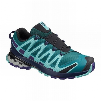 Women's Salomon XA PRO 3D V8 GORE-TEX Trail Running Shoes Blue | US-YADV073