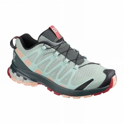 Women's Salomon XA PRO 3D V8 Hiking Shoes Light Turquoise Grey | US-GBDV350