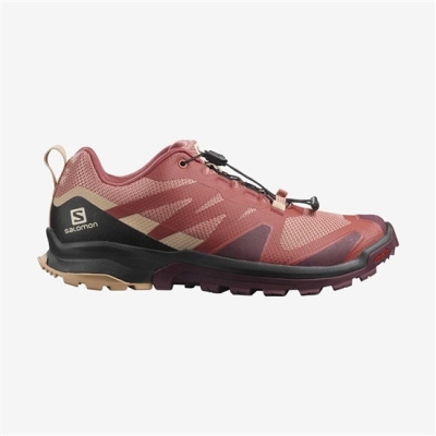 Women's Salomon XA ROGG Trail Running Shoes Multicolor | US-SIVM180