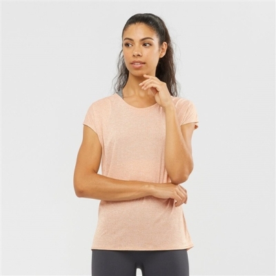 Women's Salomon XA SLEEVE TECH W Short Sleeve T Shirts Beige | US-TKIC295