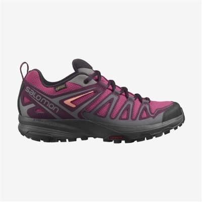 Women's Salomon X CREST GORE-TEX Hiking Shoes Purple | US-FHXO908