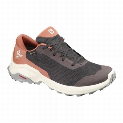 Women's Salomon X REVEAL GORE-TEX Hiking Shoes Chocolate | US-GEIK097