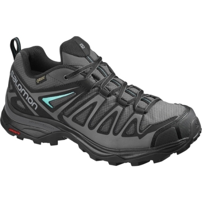 Women's Salomon X ULTRA 3 PRIME GTX W Hiking Shoes Silver / Black | US-YBMG517